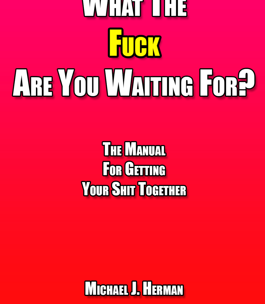 What The Fuck Are You Waiting For? The Manual For Getting Your Shit Together Image